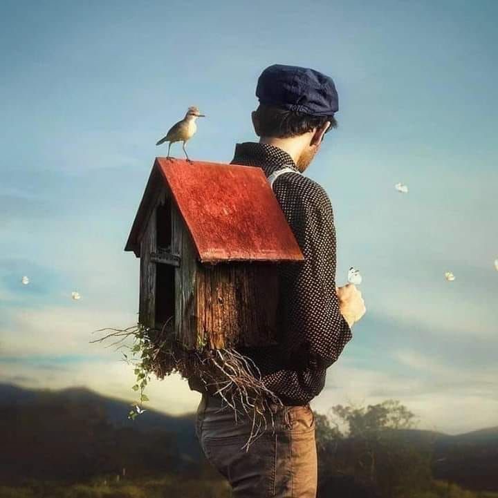 🌍 مهاجرت فقط جابجایی نیست؛ یک زلزله‌ی احساسی‌ست